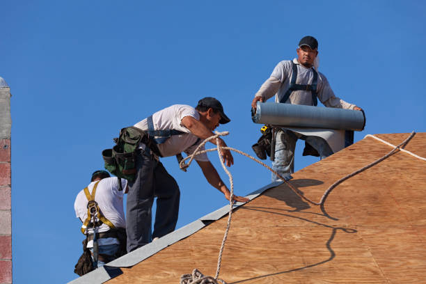 Best Roof Gutter Cleaning  in Plains, KS